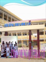 VTM- Tĩnh vật Lọ Hoa và Quả