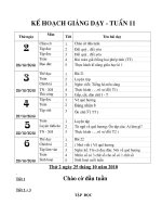 Giáo án lớp 3- tuần 11. CKTKN( các môn)