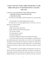 CƠ SỞ LÝ THUYẾT VỀ PHÁT TRIỂN THỊ TRƯỜNG VÀ GIỚI THIỆU TỔNG QUÁT VỀ CHI NHÁNH CÔNG TY LELONG VIỆT NAM