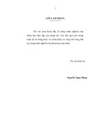 PHÁT TRIỂN các KHU CÔNG NGHIỆP ĐỒNG bộ TRÊN địa bàn hà nội 