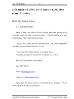 GIỚI THIỆU VỀ CÔNG TY VÀ THỰC TRẠNG TÌNH HÌNH TÀI CHÍNH