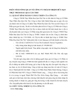 PHÂN TÍCH TỔNG QUAN VỀ CÔNG TY TRÁCH NHIỆM HỮU HẠN THỰC PHẨM RAU QUẢ CẦN THƠ