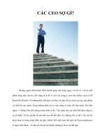 CÁC CEO SỢ GÌ?