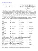 Đề ôn HK I Anh 11 số 8