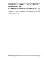 PHÂN TÍCH TÌNH HÌNH XUẤT KHẨU CỦA CÔNG TY GIAI ĐOẠN 2004