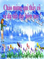 Bài 23: MÔI TRƯỜNG VÙNG NÚI