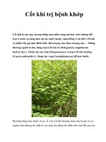 Cốt khí trị bệnh khớp