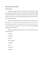 KHÁI QUÁT VỀ ĐÀM PHÁN