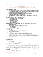 THENGUYEN-HDGDNGLL10-T10