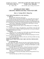 Kế hoạch thực hiện CT GDMN mới năm 2010-2011