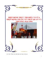 HIỆP ĐỊNH THỰC THI ĐIỀU VI CỦA HIỆP ĐỊNH CHUNG VỀ THUẾ QUAN VÀ THƯƠNG MẠI 1994