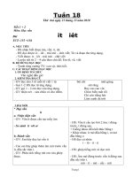 GIÁO ÁN LỚP 1 TUẦN 18