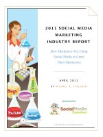 How Marketers Are Using Social Media to Grow  Their Businesses