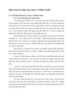 PHÂN TÍCH TÀI CHÍNH CỦA CÔNG TY TNHH YAHO