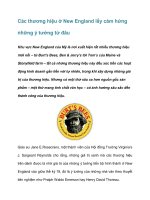 Các thương hiệu lấy cảm hứng những ý tưởng từ đâu