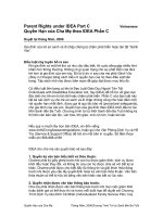 Parent Rights under IDEA Part C- Quyền hạn của Cha mẹ theo IDEA phần C