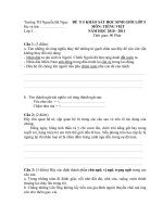 Đề thi khảo sát HSG lớp 5 2010 - 2011