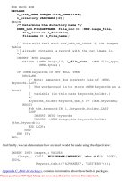 Oracle PLSQL Language- P23