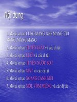 Chương 8: Mang - Đầu - Cơ