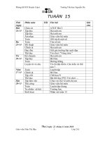 tuần 15-lớp 2 CKTKN