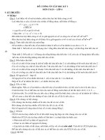 ĐỀ CƯƠNG ÔN TẬP TOÁN 6-HKI