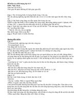 Đề kiểm tra học kỳ I (2010-2011)