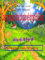 Hoat dong kinh te o MM