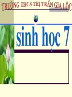 bai 19 MOT SO THAN MEM KHAC