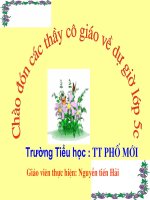 cong hai so thap phan- hai qv