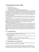 Những khái niệm cơ bản về CSDL