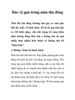 Bảo vệ gan trong mùa thu đông