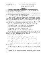 biên  ban  xet  thanh  tich  10  nam thuc hiên PCGD ĐĐT