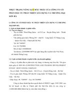 THỰC TRẠNG NĂNG LỰC ĐẤU THẦU CỦA CÔNG TY CỔ PHẦN ĐẦU TƯ PHÁT TRIỂN XÂY DỰNG VÀ THƯƠNG MẠI SƠN HÀ