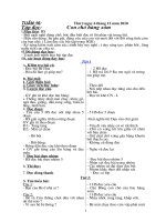 Kế hoạch bài dạy tuần 16 ngày 2 buổi( Lớp A)