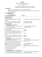 giao an lop4- tuan 20 cktkn