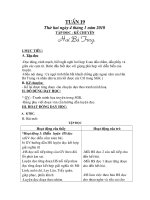 Giáo án lớp 3 Tuần 19 CKT-KN-Bvmt