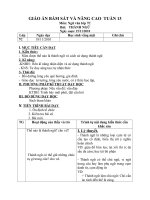 giao an bam sat tuan 13