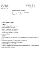 Kế hoạch giảng dạy môn Tin học 6 (2010-2011)