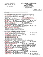 Đề thi học kì 1 năm 2010 - 2011