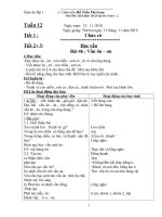 Tuần 12 lớp 1 CKTKN cả ngày