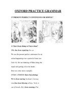 OXFORD PRACTICE GRAMMAR 17