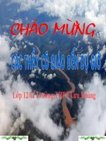 Người lái đò trên sông Đà