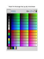 Flash CS4: Rectangle Tool, tọa độ và kích thước
