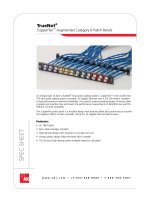 ADC KRONE - Datasheet - Cat 6A - Patch Panel