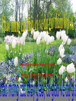 Bài 9:Thành phố Đà Lạt