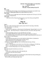 Đề thi HSG Khối 9 cấp trường-Nh 2010-2011