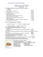 đáp án và đề môn sinh HKI