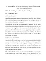 Lý luận chung về kế toán tiêu thụ thành phẩm và xác định kết quả tiêu thụ thành phẩm trong doanh nghiệp