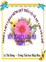 TNXH 2 Bài Các thế hệ trong một gia đình