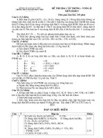 de thi học sinh giỏi hóa 9